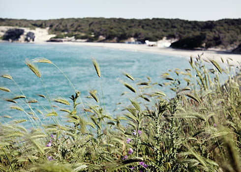 Oasi Salento: Baia Torre dell'Orso