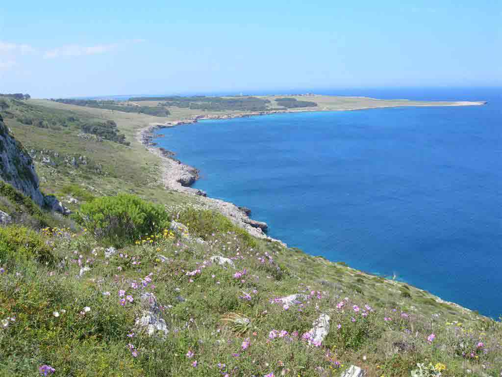 baia dell'Orte